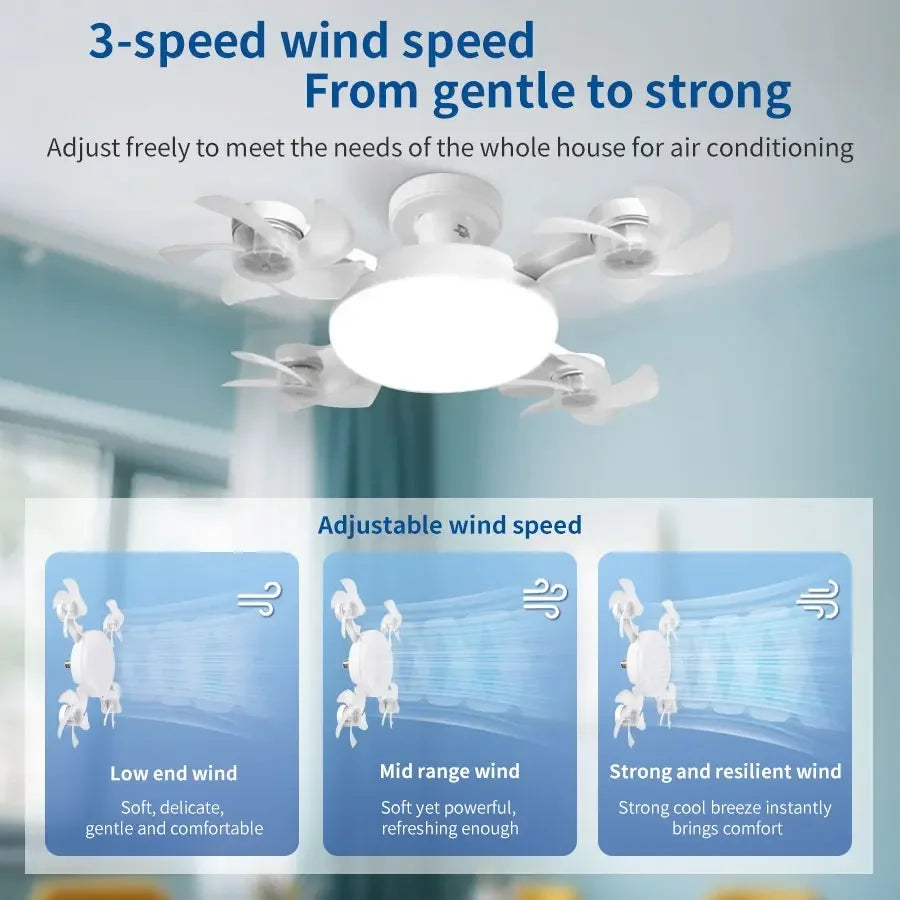 Smart Ceiling Fan Light Combo