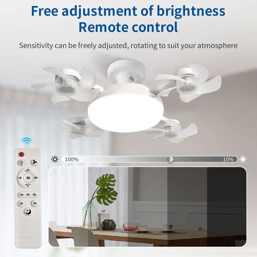 Smart Ceiling Fan Light Combo
