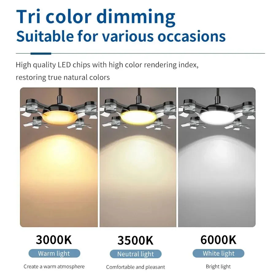 Smart Ceiling Fan Light Combo